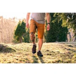 Lundhags Authentic II Wandershorts - Dark Sand/Tea Green 731 -Lundhags lundhags authentic ii shorts3 1336972 1